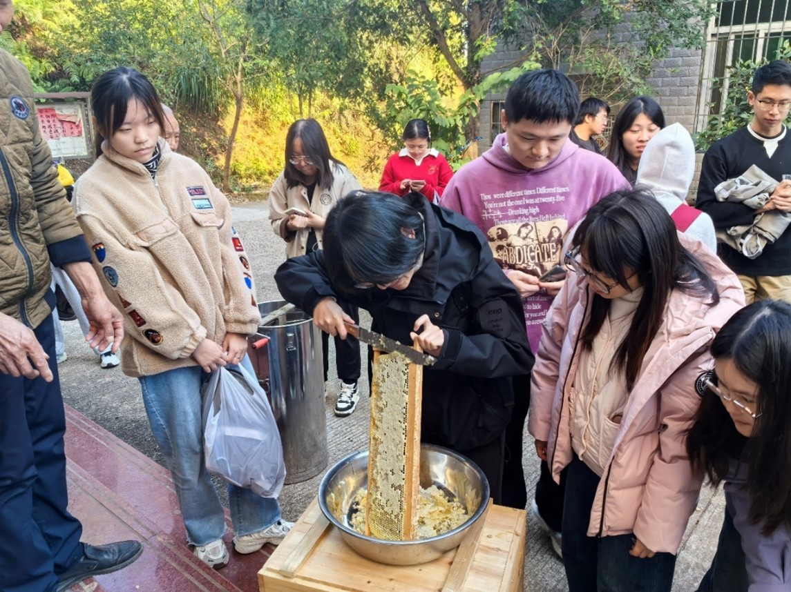 图片7.jpg