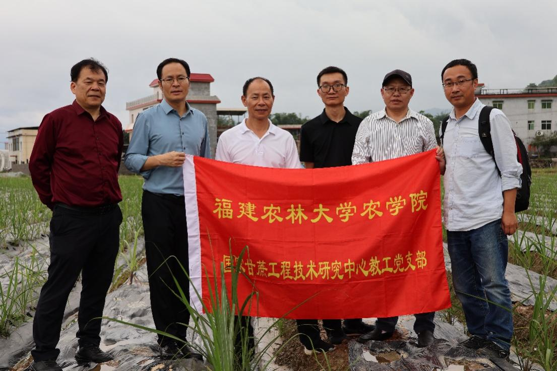 田间技术指导现场.png 图片1.png